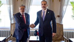 پاکستان اور ترکی کا غزہ میں فوری انسانی امداد کی فراہمی کا مطالبہ