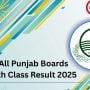 پنجاب میں نویں جماعت کے نتائج 2025 جاری، طلبہ اپنا رزلٹ کیسے چیک کریں؟ جانیں