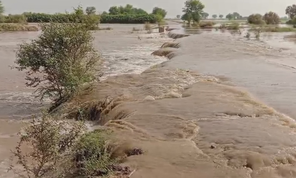 دریائے ستلج میں پانی کی سطح بلند، حفاظتی بند ٹوٹنے سے بستیوں میں سیلابی پانی داخل