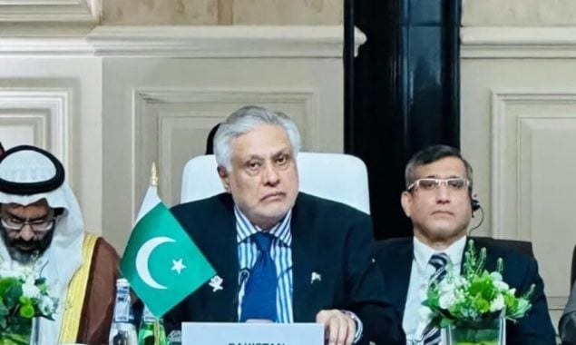 اسرائیل عالمی امن کیلیے مسلسل خطرہ،جنگی جرائم پرجواب دہ ٹھہرایا جائے، اسحاق ڈار
