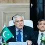 اسرائیل عالمی امن کیلیے مسلسل خطرہ،جنگی جرائم پرجواب دہ ٹھہرایا جائے، اسحاق ڈار