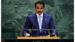 مخالفین کو مذاکرات کی میز پر لا کر قتل کروانا اسرائیلی کی گھنائونی پالیسی ہے، امیر قطر