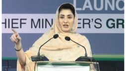 سندھ کا کیا حال ہے،اس پربات نہیں کرنا چاہتی، بلاول پی پی رہنمائوں کو سمجھائیں، مریم نواز