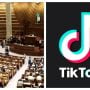 پنجاب اسمبلی میں ٹک ٹاک پر پابندی عائد کرنے کی قرارداد جمع