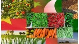 پاکستان اور چین کا اشتراک؛ زرعی، تعلیمی اور سبز ترقیاتی منصوبوں میں نئی پیش رفت