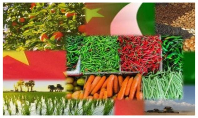 پاکستان اور چین کا اشتراک؛ زرعی، تعلیمی اور سبز ترقیاتی منصوبوں میں نئی پیش رفت