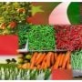 پاکستان اور چین کا اشتراک؛ زرعی، تعلیمی اور سبز ترقیاتی منصوبوں میں نئی پیش رفت