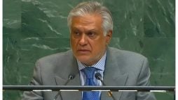 اقوام متحدہ کی سلامتی کونسل میں پاکستان کا فلسطین پر دو ٹوک مؤقف