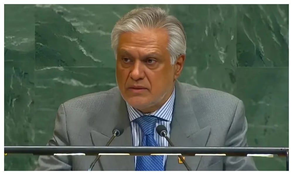 اقوام متحدہ کی سلامتی کونسل میں پاکستان کا فلسطین پر دو ٹوک مؤقف