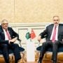 پاکستان اور ترکی کی اسرائیلی جارحیت کی مذمت، فلسطینی عوام کیساتھ یکجہتی کا اعادہ