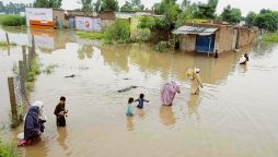 جامشورو: ضلعی انتظامیہ جامشورو نے ممکنہ سیلاب کے پیش نظر خطرناک صورتحال سے متعلق اعدادوشمار جاری کر دیئے ہیں، جن کے مطابق ضلع میں 64 ہزار آبادی کے متاثر ہونے کا خدشہ ظاہر کیا گیا ہے۔
