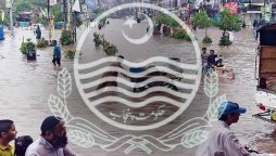 سیلاب سے متاثرہ علاقوں کیلئے ریلیف پلان؛ پنجاب حکومت نے افسران کو اہم ٹاسک دے دیا