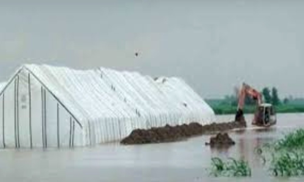 علی پور میں سیلابی پانی پاسکو سنٹر میں داخل، 45 ہزار سے زائد گندم کی بوریاں خراب