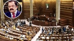 پنجاب اسمبلی؛ غیر سرکاری و غیر حتمی نتائج، رانا ثناء اللہ سینیٹر منتخب