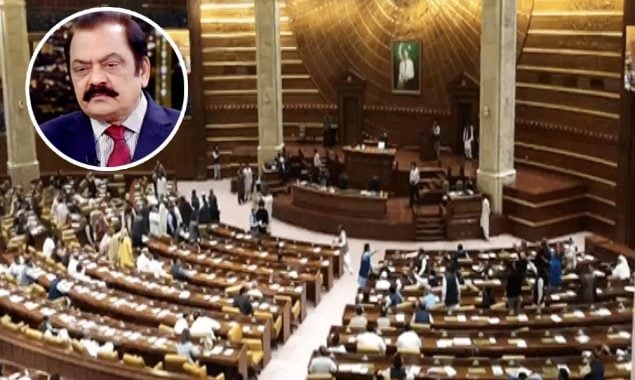پنجاب اسمبلی؛ غیر سرکاری و غیر حتمی نتائج، رانا ثناء اللہ سینیٹر منتخب