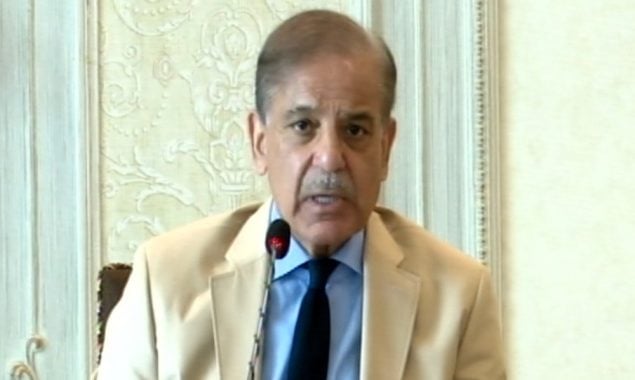 پاکستان ہمیشہ سے فلسطینی عوام کے ساتھ کھڑا رہا ہے اور ہمیشہ ان کا ساتھ دیتا رہے گا، وزیرِ اعظم