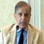 پاکستان ہمیشہ سے فلسطینی عوام کے ساتھ کھڑا رہا ہے اور ہمیشہ ان کا ساتھ دیتا رہے گا، وزیرِ اعظم