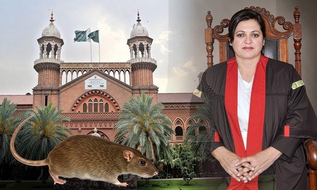 لاہور ہائیکورٹ میں "خصوصی پیشی" چوہا بھی انصاف لینے پہنچ گیا