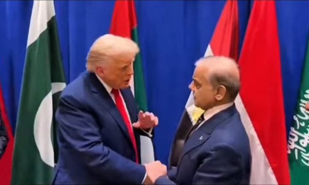 وزیراعظم شہباز شریف اور صدر ٹرمپ کی وائٹ ہاؤس میں آج ملاقات، فیلڈ مارشل کی شرکت بھی متوقع