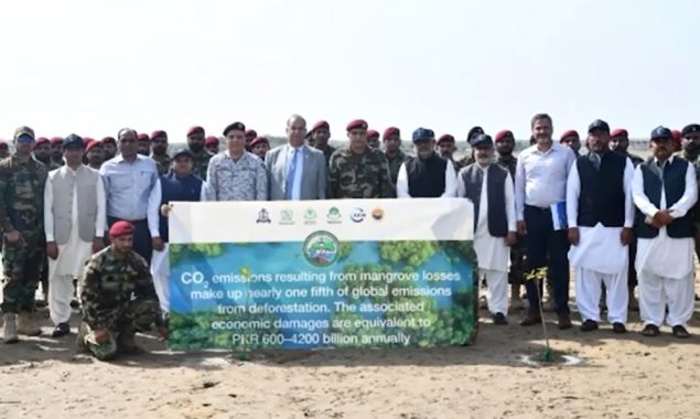 پاک بحریہ کی مینگروو شجرکاری مہم 2025 کا آغاز