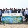 پاک بحریہ کی مینگروو شجرکاری مہم 2025 کا آغاز