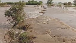 دریائے ستلج میں پانی کی سطح بلند، حفاظتی بند ٹوٹنے سے بستیوں میں سیلابی پانی داخل
