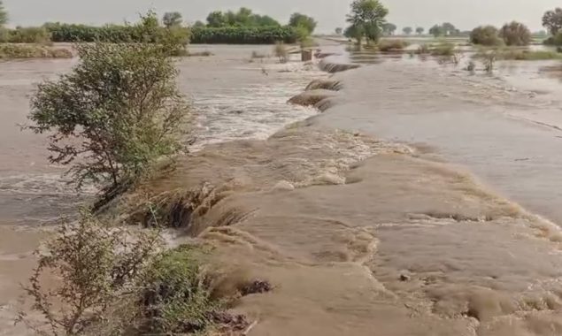 دریائے ستلج میں پانی کی سطح بلند، حفاظتی بند ٹوٹنے سے بستیوں میں سیلابی پانی داخل