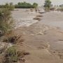 دریائے ستلج میں پانی کی سطح بلند، حفاظتی بند ٹوٹنے سے بستیوں میں سیلابی پانی داخل