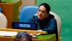 اقوام متحدہ مشن میں تعینات کونسلر صائمہ سلیم کی گرج؛ بھارت کے جھوٹے بیانیے کی دھجیاں اڑادیں