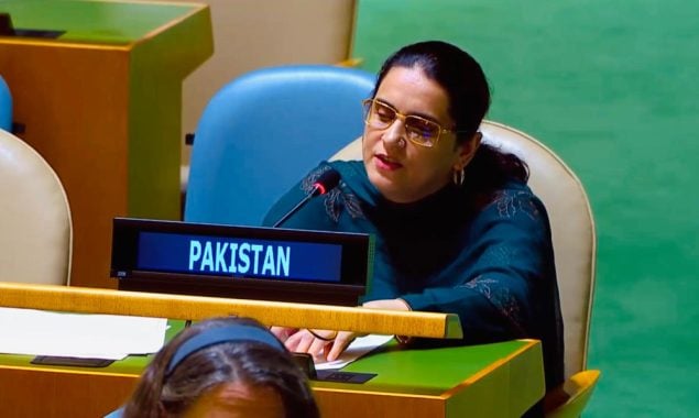اقوام متحدہ مشن میں تعینات کونسلر صائمہ سلیم کی گرج؛ بھارت کے جھوٹے بیانیے کی دھجیاں اڑادیں