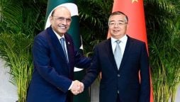 صدر زرداری کی چین میں لی شو لی سے ملاقات، پاک-چین تعلقات مزید مضبوط بنانے پر اتفاق