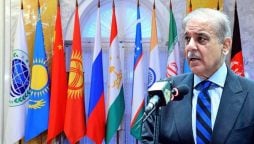 پاکستان کثیرالجہتی، مکالمے اور سفارتکاری پر یقین رکھتا ہے، وزیراعظم شہباز شریف ایس سی او اجلاس سے خطاب