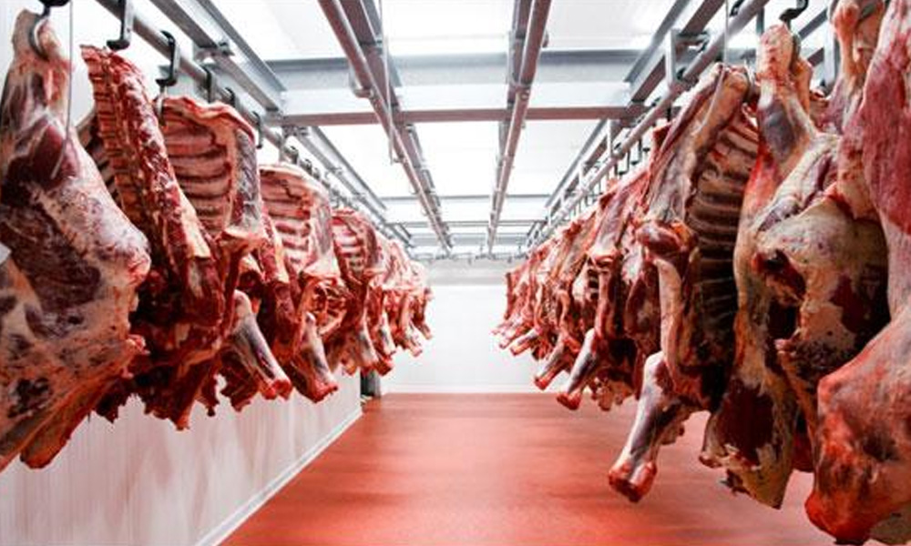 چین میں پاکستانی گوشت کی مانگ میں اضافہ