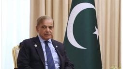 بطور قوم ہمیں غذائی تحفظ اور موسمیاتی چیلنجز کے مقابلے کے لیے متحد ہونا ہوگا، وزیراعظم
