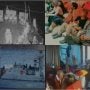 صمود فلوٹیلا کے سیکڑوں کارکن یرغمال؛ 42 کشتیوں کے 450 رضاکار گرفتار، ڈی پورٹ کی تیاریاں