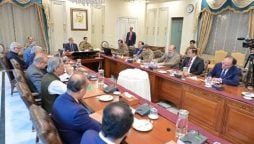 معاشی اور اقتصادی اصلاحات کی پالیسی نے معیشت کو نئی سمت دی ، شہبازشریف