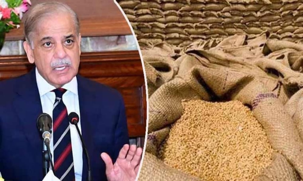 گندم کی فی من قیتم 3500 روپے مقرر، حکومت نے قومی گندم پالیسی کی منظوری دیدی