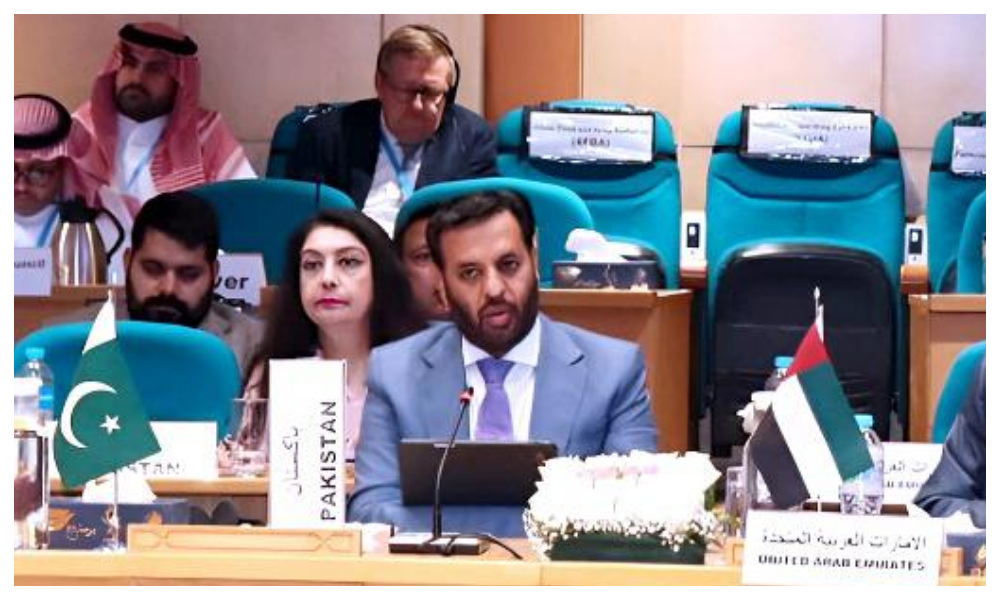 عالمی ادارہ صحت کا اجلاس؛ وفاقی وزیرِ سید مصطفیٰ کمال مصر پہنچ گئے
