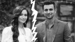 کیا ثنا جاوید اور شعیب ملک کا رشتہ ختم ہونے والا ہے؟ علیحدگی کی افواہیں زیرگردش