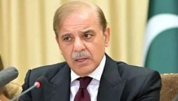 پاکستان اور ملائیشیا میں تجارتی و اقتصادی تعاون بڑھانے کی بے پناہ صلاحیت موجود ہے، وزیراعظم