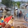 سیلاب کے باعث معاشی ترقی میں کمی اور مہنگائی بڑھنے کا خدشہ ہے، عالمی بینک