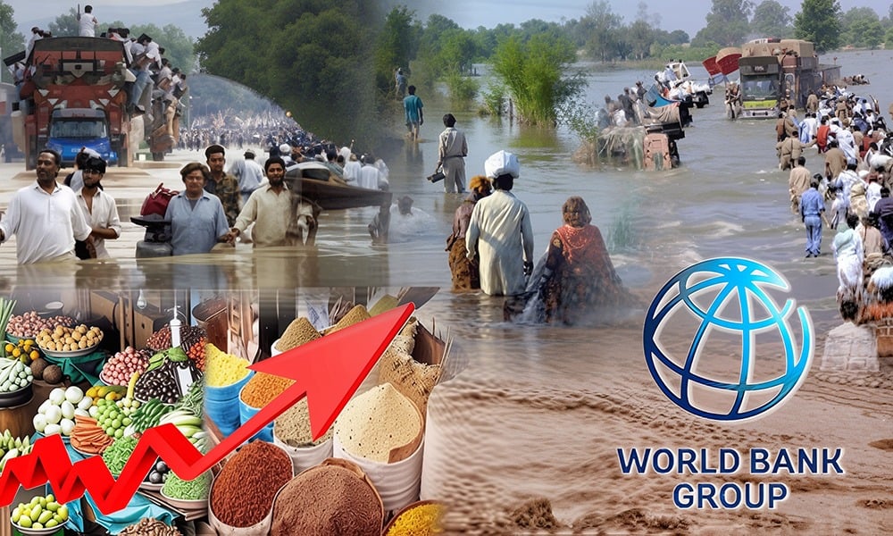 سیلاب کے باعث معاشی ترقی میں کمی اور مہنگائی بڑھنے کا خدشہ ہے، عالمی بینک