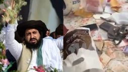 سعد رضوی کے گھر پر چھاپے میں برآمدگی کی تفصیل جاری