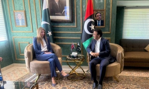وزیر داخلہ سندھ سے برطانوی ہائی کمشنر کی ملاقات، باہمی دلچسپی کے امور پر تفصیلی تبادلہ خیال