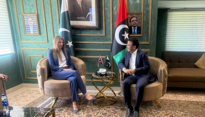 وزیر داخلہ سندھ سے برطانوی ہائی کمشنر کی ملاقات، باہمی دلچسپی کے امور پر تفصیلی تبادلہ خیال