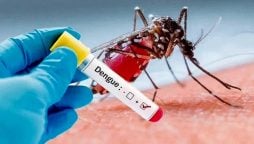 سندھ حکومت کا ڈینگی اور ملیریا کی ٹیسٹ فیس میں کمی کا اعلان