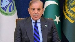 پاکستان اپنے پیروں پر کھڑے ہونے کیلئے انتھک محنت کررہا ہے، وزیراعظم