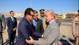 غزہ جنگ بندی؛ ٹرمپ اور سیسی کی دعوت پر وزیراعظم شرم الشیخ پہنچ گئے
