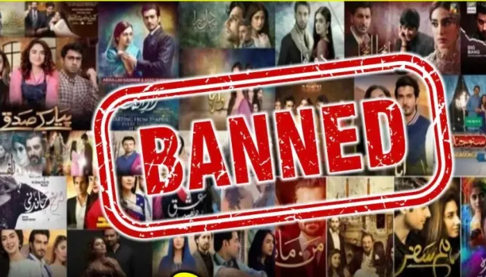 بھارت کا غیراعلانیہ اقدام؛ نیٹ فلکس پر پاکستانی ڈراموں پر پابندی عائد