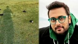 کراچی کے پارک میں درجنوں مردہ کوے؛ بلال مقصود کی ویڈیو وائرل